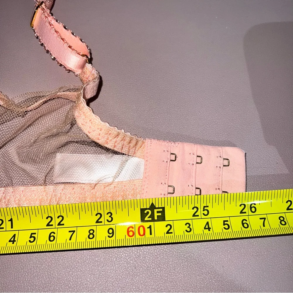 Agent Provocateur Pink Zuri Underwired Bra Size 36DD Italian Tulle Sheer Embroid